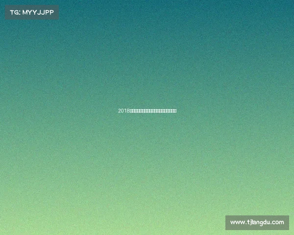 2018亚洲冠军联赛赛事规则深度解析与应用指南